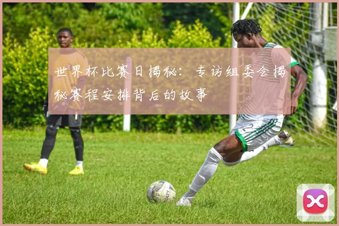 世界杯比赛日揭秘：专访组委会揭秘赛程安排背后的故事
