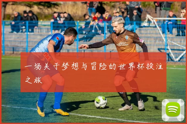 一场关于梦想与冒险的世界杯投注之旅