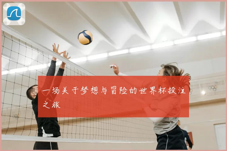 一场关于梦想与冒险的世界杯投注之旅
