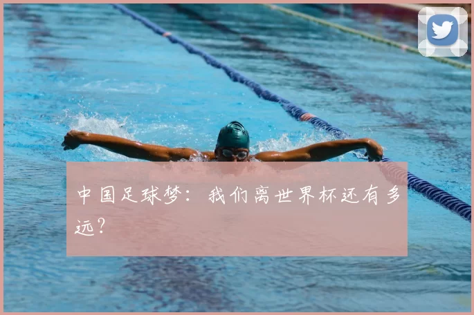 中国足球梦：我们离世界杯还有多远？