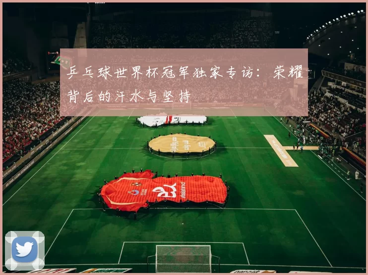 乒乓球世界杯冠军独家专访:荣耀背后的汗水与坚持