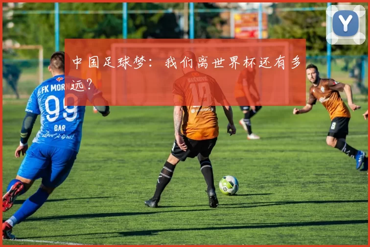 中国足球梦:我们离世界杯还有多远?