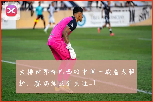 女排世界杯巴西对中国一战看点解析，赛场焦点引关注_1